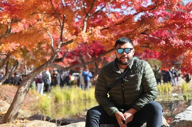 Make Your Trip Around Nami Island With an Expert(Dslr Option) - Reviews