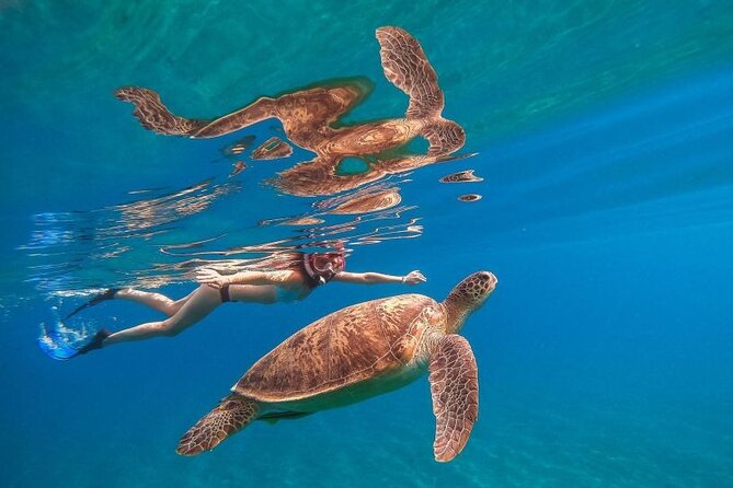 Marsa Mubarak Sea Snorkeling Boat Trip From Marsa Alam