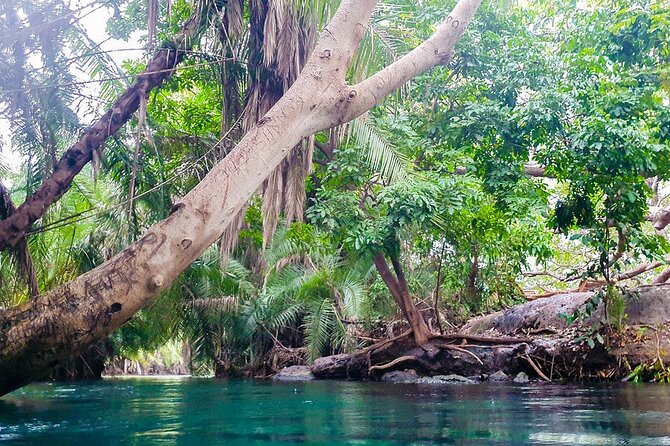 Materuni Waterfalls, Coffee Tour and Hot Springs - Additional Information