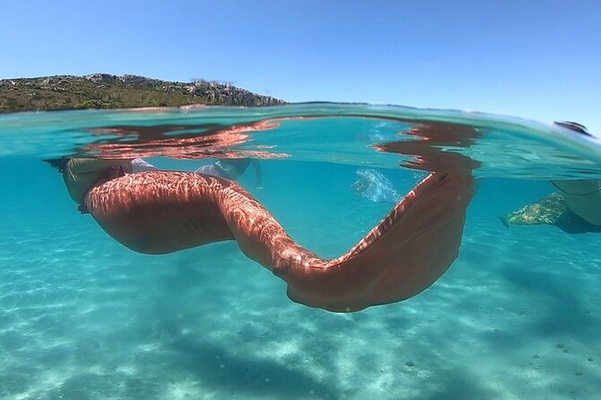 Mermaid Private Experience - Price and Guarantee