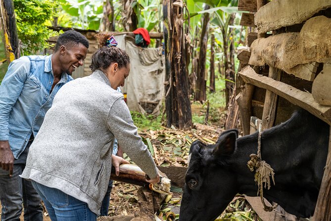 Microfinance Family Farm Tour - All Proceeds to Charity - The Sum Up