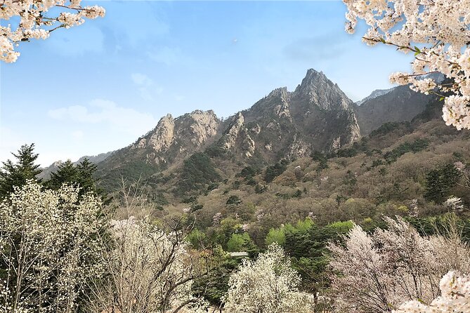 Mt. Seorak+Nami Island+Garden of Morning Calm Day Trip From Seoul - Additional Information