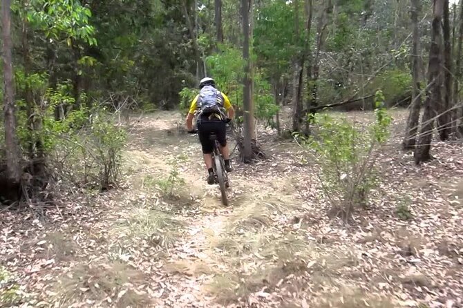 Nairobi Day Tour to Karura Forest Hike, Trail Bike & Nature Walk - Reviews