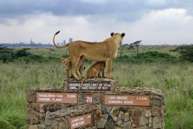 Nairobi National Park, Elephant Orphanage, Giraffe Centre,Karen Blixen Day Tour - Price Breakdown