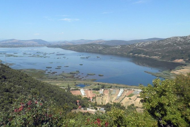 National Bird Reserve Hutovo Blato Photo Safari - Pricing and Booking Options