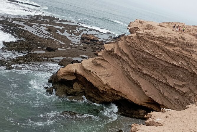 National Park & Sahara Day Trip With Food - Food Inclusions