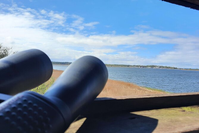 Nature Walk and Wildlife Tour in Sobieszewo Island - The Sum Up