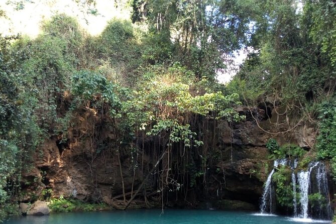 Ngare Ndare Day Trip - Nanyuki - Trip Overview