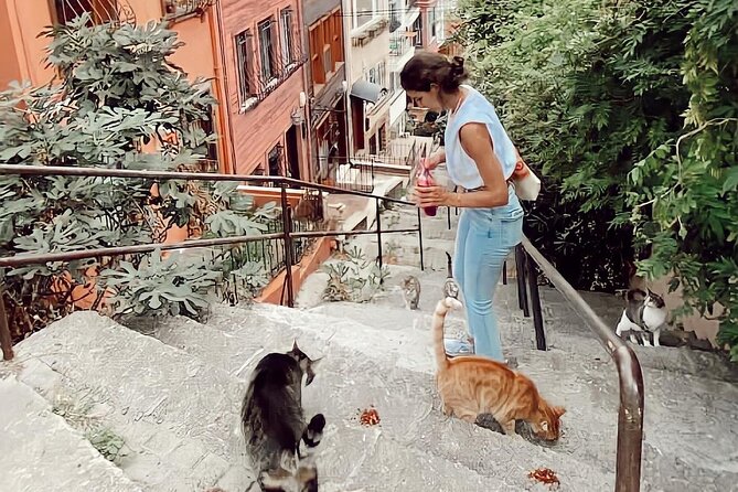 Off Beaten Path of Istanbul: Beşiktaş-Ortaköy-Arnavutköy Private Guided Tour - Tour Overview