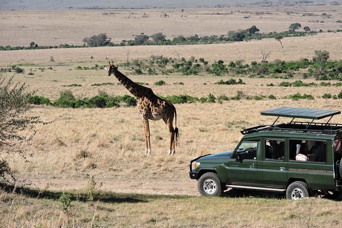 Olpejeta, Lake Naivasha, Masai Mara 5 Days Private Kenya Jeep Tour - Reviews