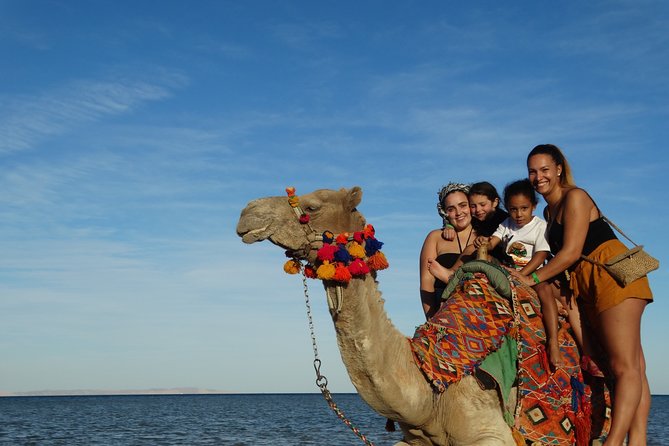 One Hour Camel Ride at Amazing Marsa Alam Desert With Transfer - Marsa Alam - Cancellation Policy