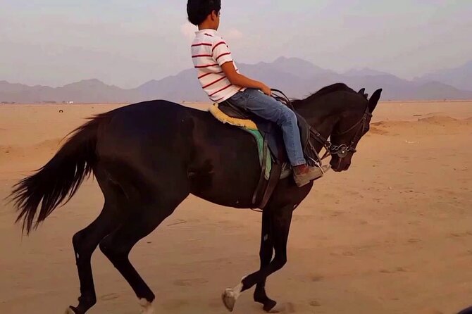 One Hour Relaxation Turkish Bath and One Hour Horse Riding in Sharm El Sheikh