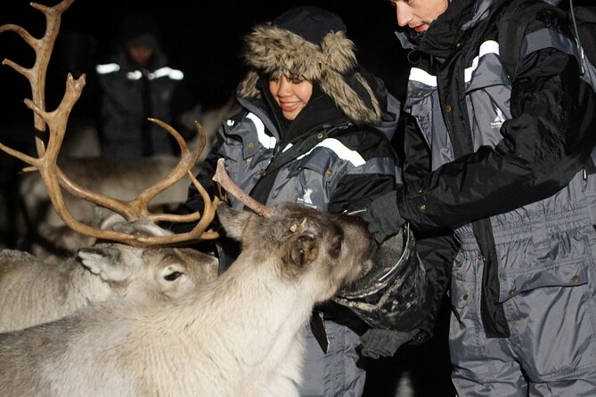 Overnight Stay in Lavvu and Reindeer Feeding