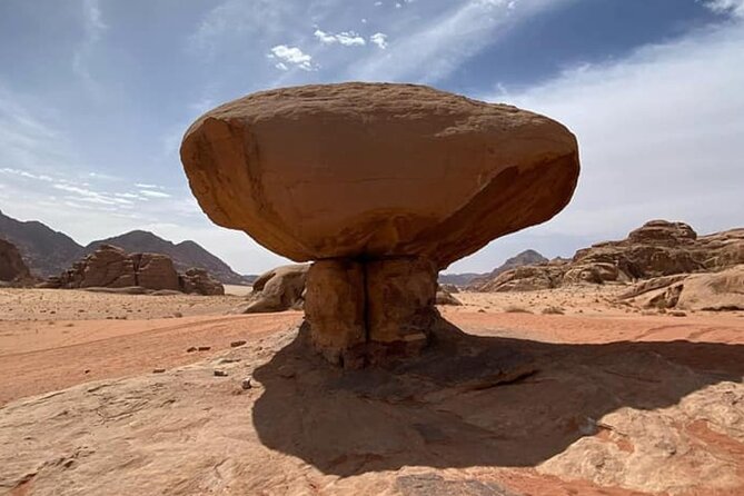 Petra & Wadi Rum Full-Day Private Guided Tour From Amman - Customer Experience