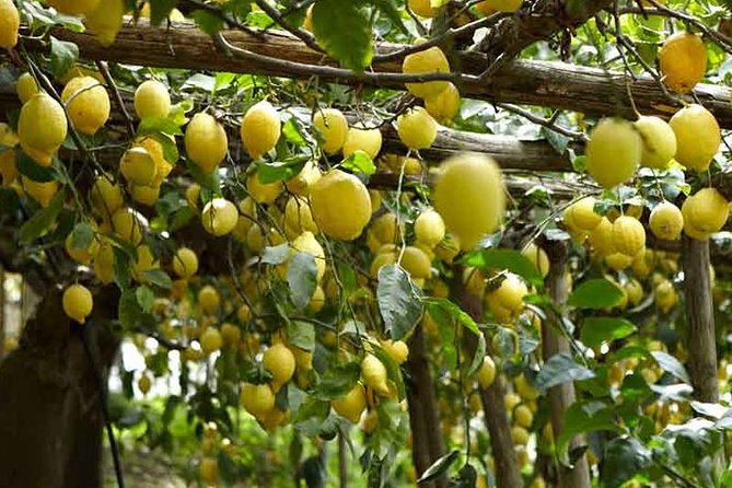 Pompeii Amalfi Coast and Calabria From Rome - Tour Itinerary