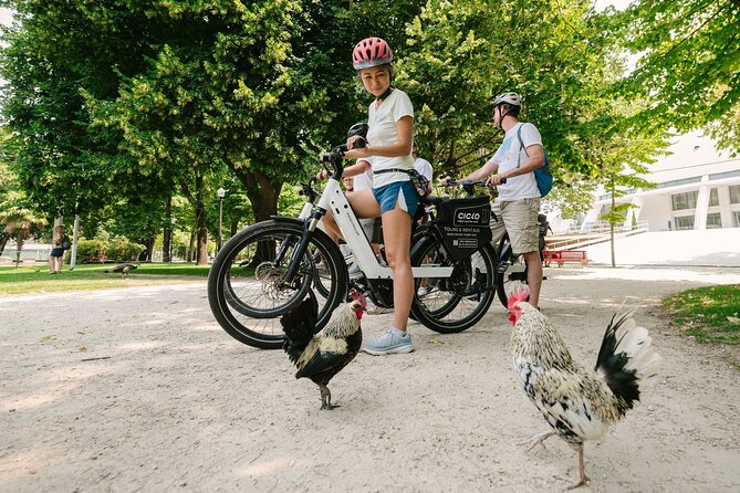 Porto Riverbank E-Bike Tour - Atlantic Coast, Gardens - Requirements and Accessibility