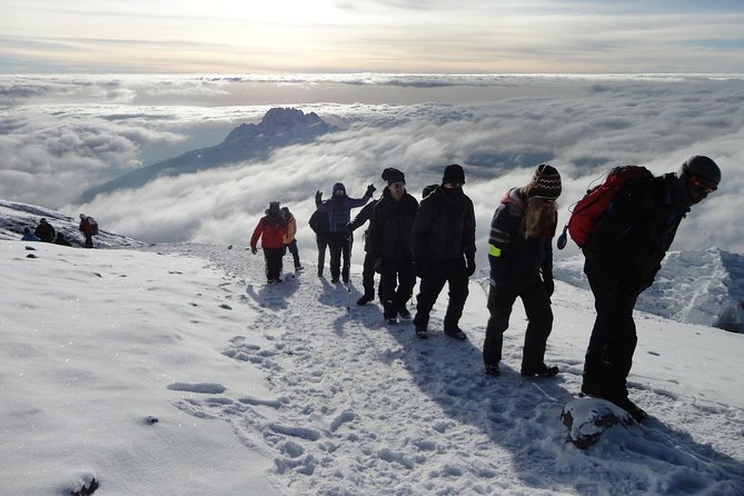 Private 7-Day Kilimanjaro Trek via Lemosho Route From Moshi - Frequently Asked Questions
