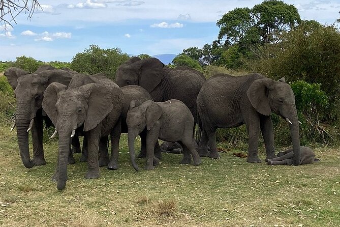 Private Amboseli Overnight Tour - Tour Details