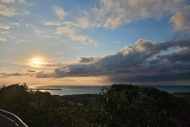 Private and Guided Tour of Mauritius South - Tour Details and Accessibility