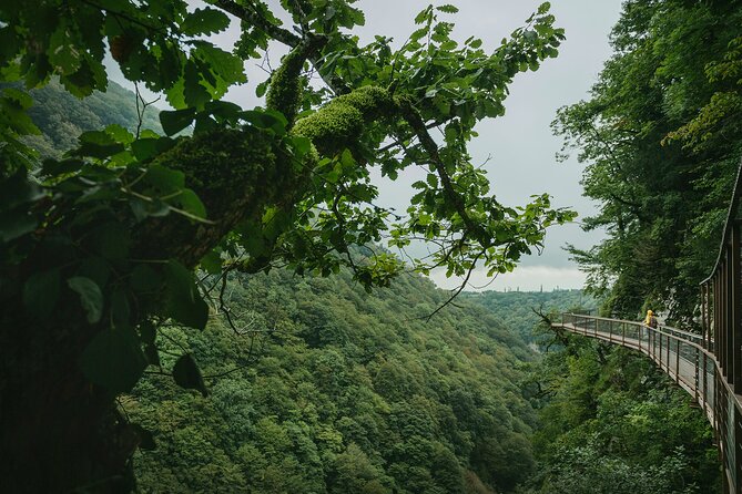 Private Canyon Cave Tours From Kutaisi (Martvili-Okatse-Promete) - Cancellation Policy