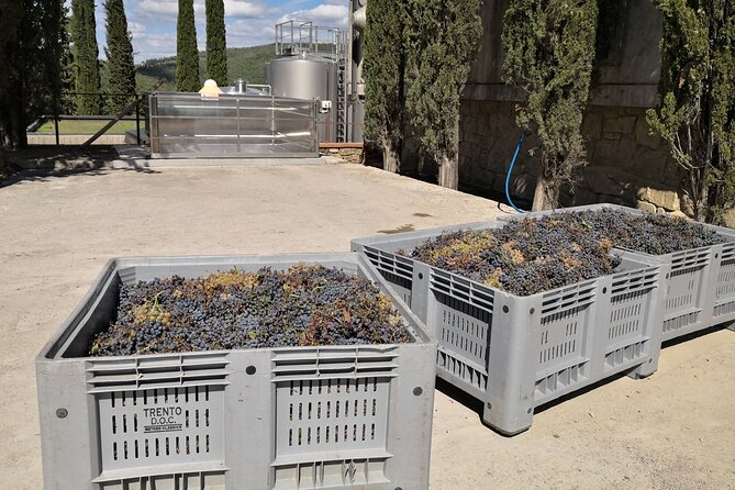 Private Chianti Wine Tours Pickup From the Countryside of Chianti - Cancellation Policy and Reviews