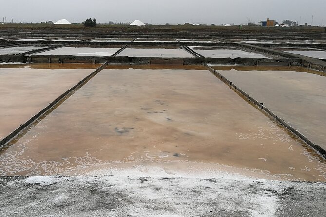 Private Day Tour in Olive Oil, Salt Flats and Winery