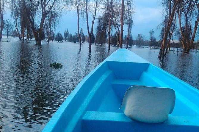 Private Day Tour Nakuru National Park & Boat Ride - Cancellation Policy