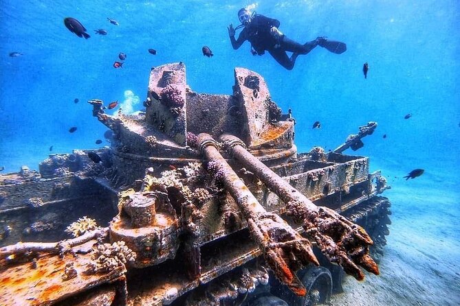 Private Diving Experience in The Heart of Red Sea in Aqaba - Stellar Reviews and Customer Testimonials