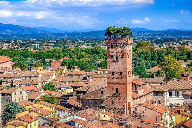 PRIVATE EXCURSION: Pisa and Lucca With Lunch and Wine Tastings