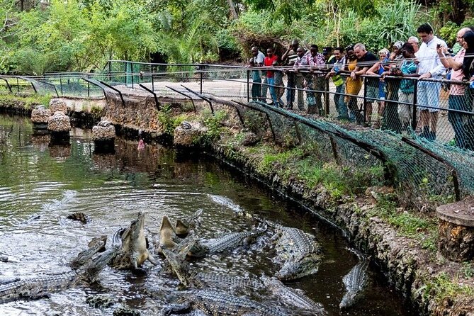 Private Full Day Day Trip to Mombasa City - Availability