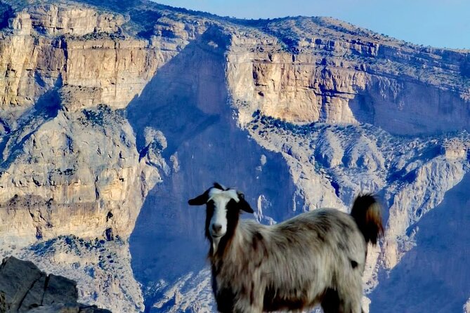 Private Full Day Guided Balcony Walk Hiking to Jebel Shams - The Sum Up