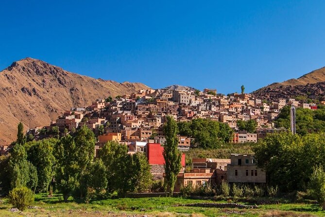 Private Full-Day Tour of Agafay Desert and Atlas Mountains - Tour Highlights