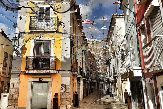 Private Full Day Tour Setubal - Inclusions and Exclusions