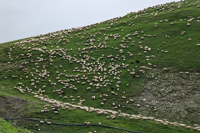 Private Full-Day Tour to Kazbegi and Gudauri From Tbilisi - Cancellation Policy