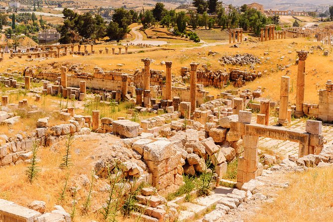 Private Half Day Jerash and Amman Sightseeing Tour - Sightseeing Highlights