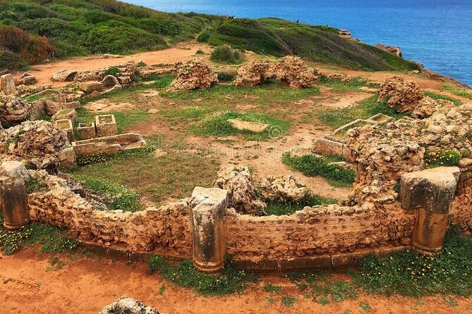 Private Half-Day Tipaza Tour Roman Ruins - Accessibility Information