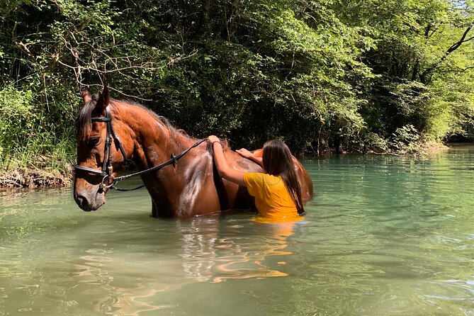 Private Horseback Riding Across River Ljuta With Transport - Riding Directions