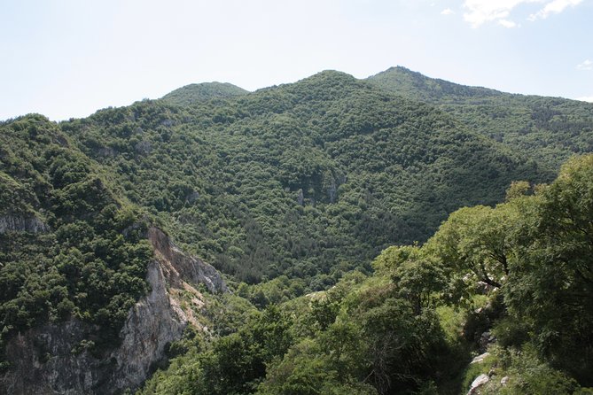 4 Best Safari Tours In Borovets