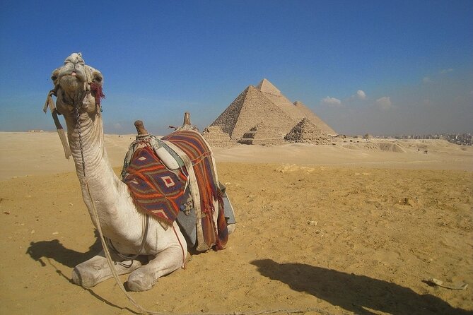 Private Layover Tour From Cairo Airport to the Giza Pyramids, Sphinx With Lunch - Additional Information