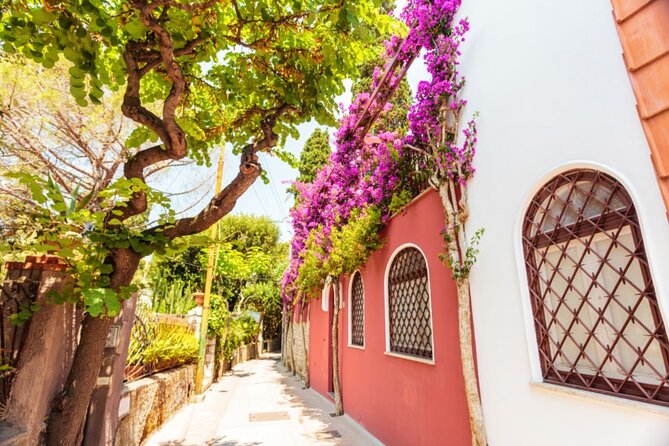 Private Morning Capri Luxury Yacht Transfer & Italian Breakfast - Operator Information