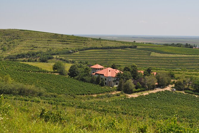 Private Romanian Wine Tasting in Urlași - Cancellation Policy