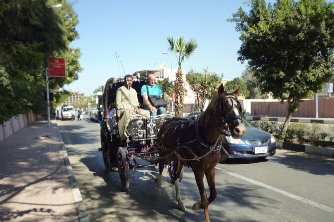Private Sound and Light Show and Luxor City Tour by Carriage (3 * 1) - Meeting Details