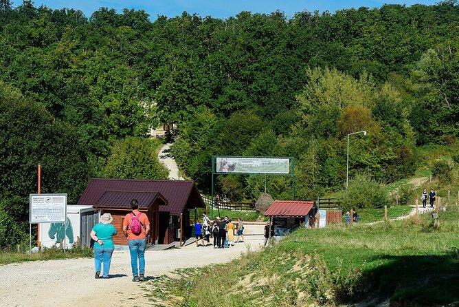 Private Tour Bear Sanctuary & City of Brasov One Day Trip - Tickets Included - Additional Information