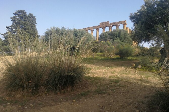Private Tour Castellammare Segesta Erice and Trapani Salt Pans