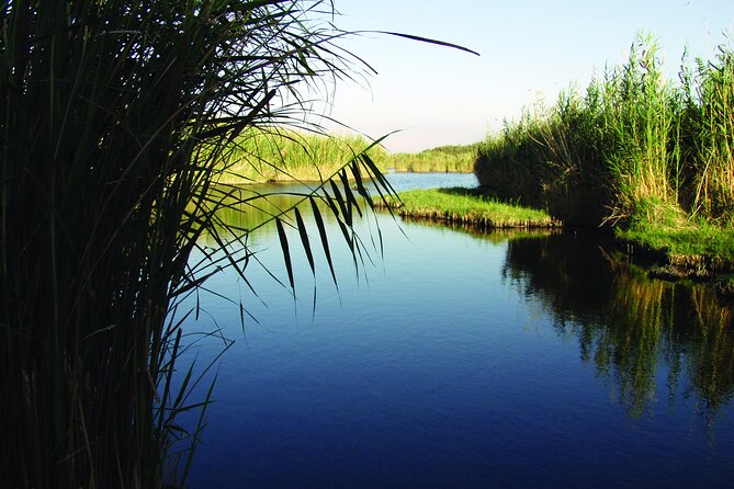 Private Tour Desert Castles Eastern Jordan With Azraq Wetland From Dead Sea