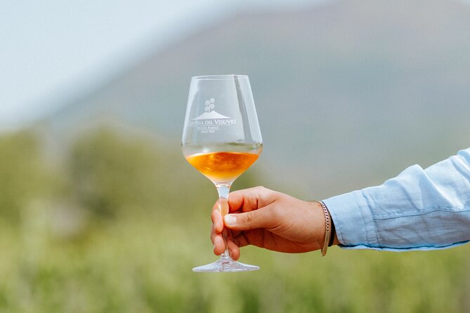 Private Tour Ercolano Ruines and Wine Tour Tasting - Additional Info