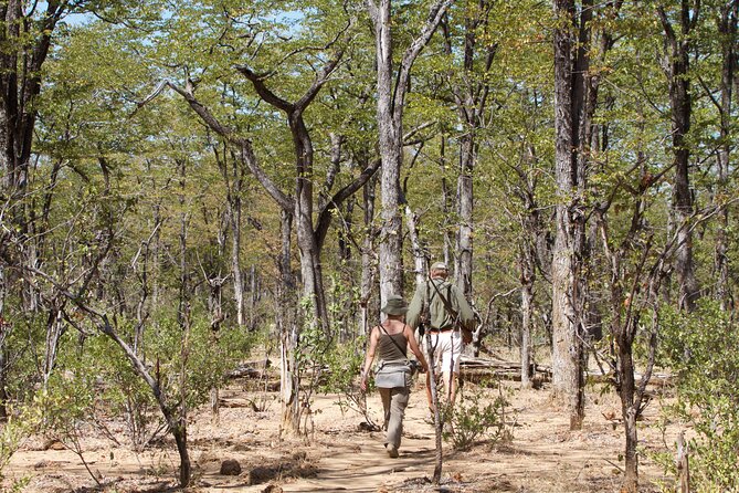 Private Tour in Arusha National Park - End Point Information