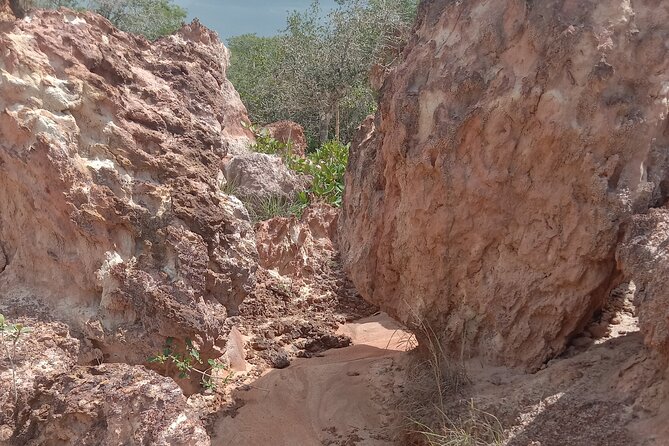 Private Tour to Mambrui and Marafa Hells Kitchen From Malindi - Reviews
