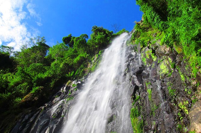 Private Tour to Materuni Waterfalls, Coffee Tour, Kikuletwa Hot Springs & Maasai