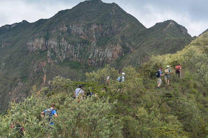 Private Tour to Mount Longonot and Optional Boat Ride on Lake Naivasha - The Sum Up